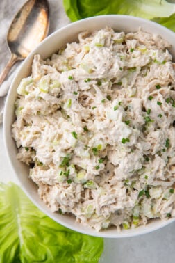 Keto Chicken Salad (Classic Shredded Chicken Salad) - 40 Aprons