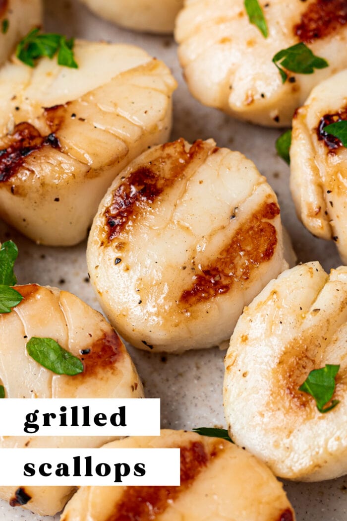 Pin graphic for grilled scallops