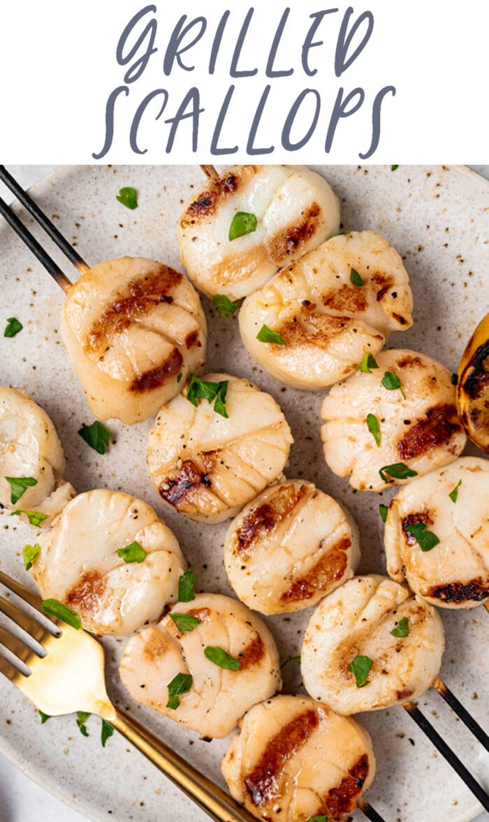 Pin graphic for grilled scallops
