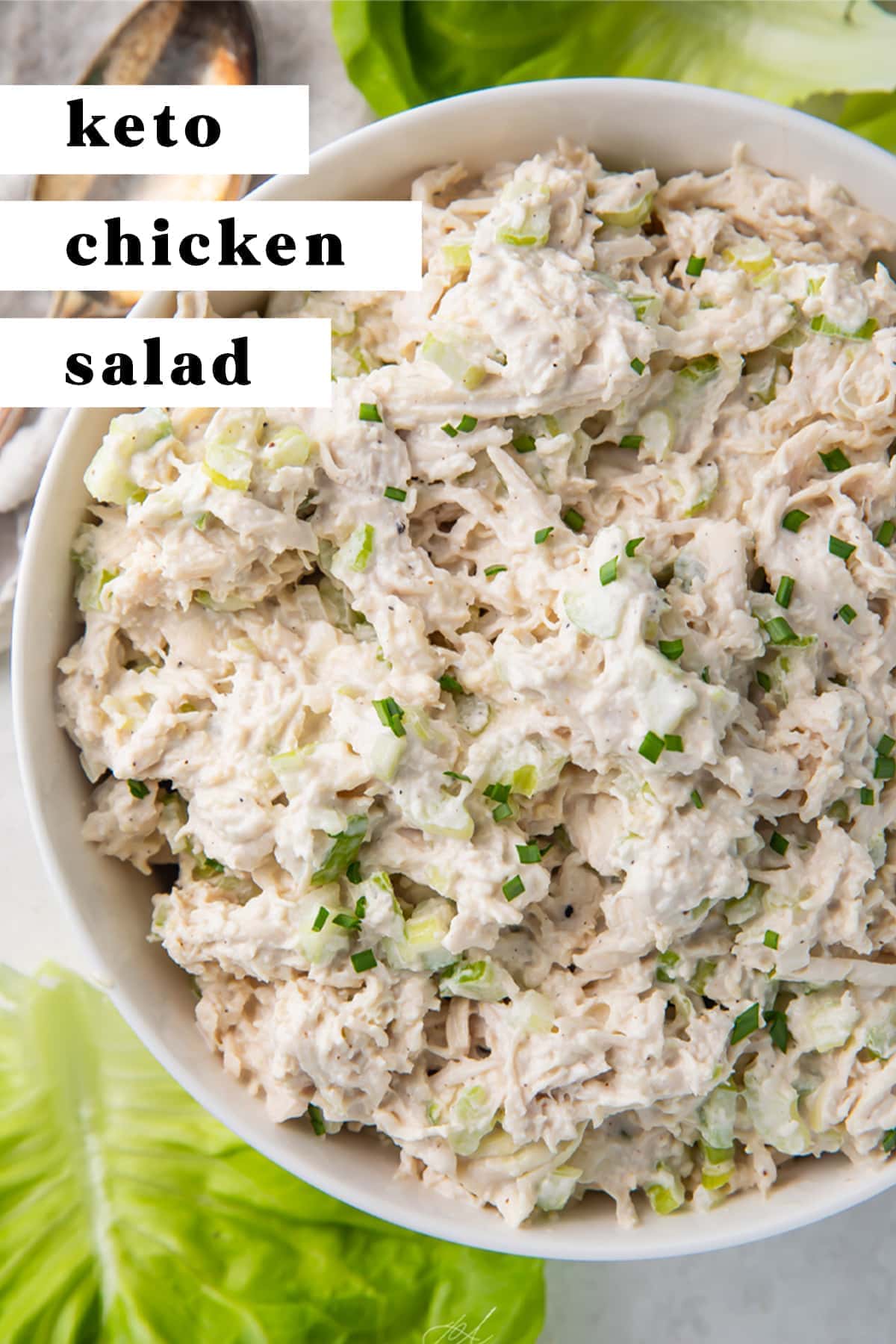 Keto Chicken Salad (Classic Shredded Chicken Salad) - 40 Aprons