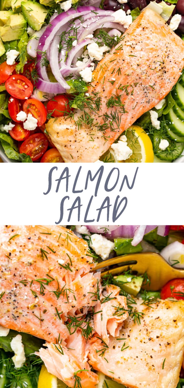 Pin graphic for salmon salad
