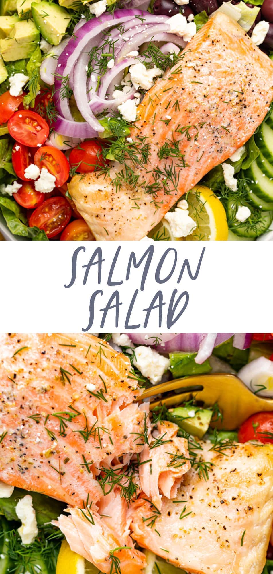 Salmon Salad - 40 Aprons