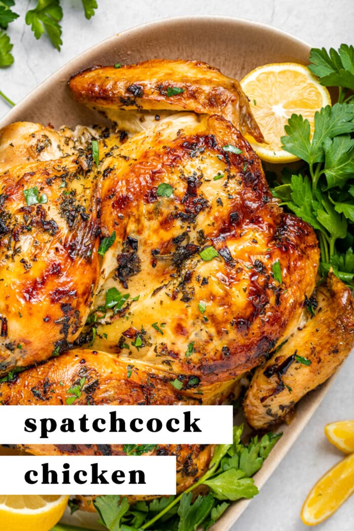 Pin graphic for spatchcock chicken