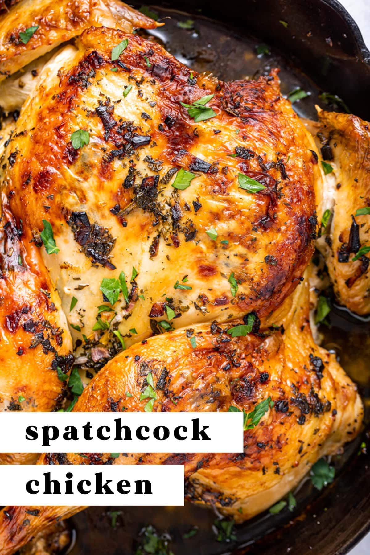 Spatchcock Chicken With Garlic Herb Butter 40 Aprons