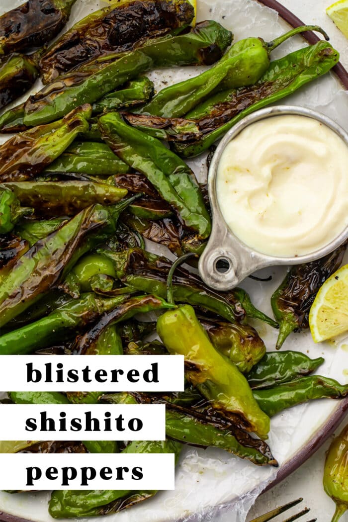 Pin graphic for blistered shishito peppers