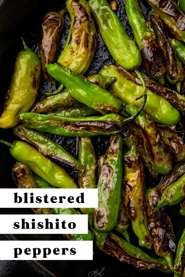 Pin graphic for blistered shishito peppers