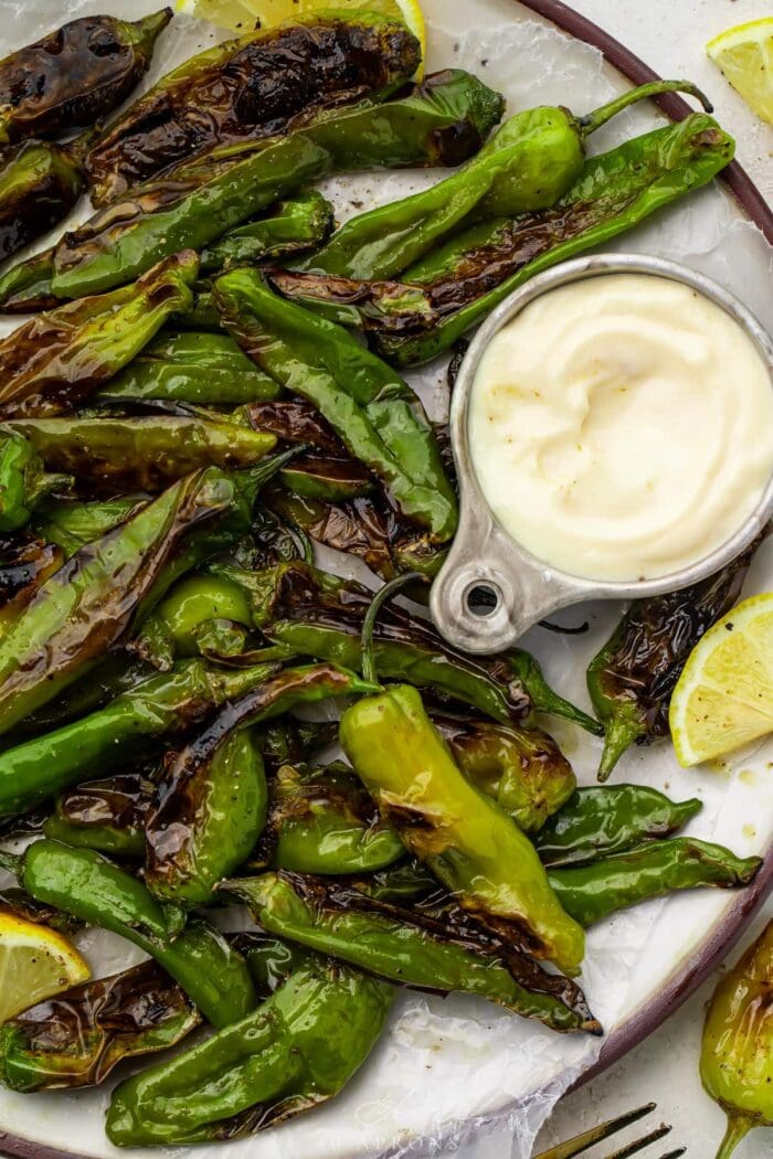 Blistered shishito peppers on a plate with a lemon-garlic aioli sauce