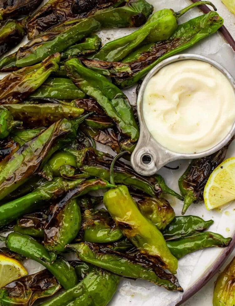 Blistered shishito peppers on a plate with a lemon-garlic aioli sauce