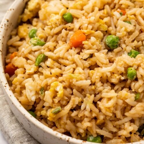 Restaurant-Style Chicken Fried Rice - 40 Aprons