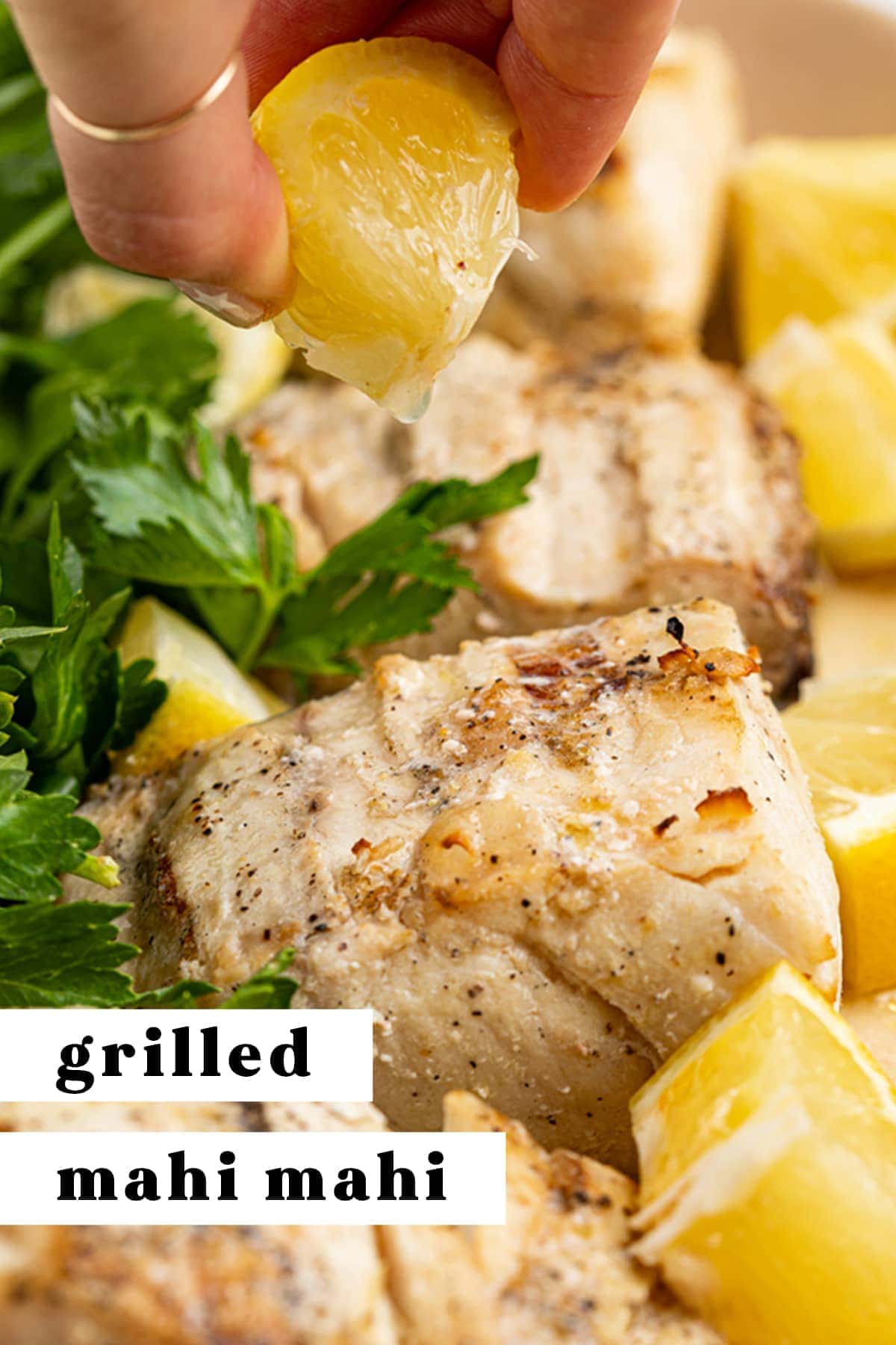 Easy Grilled Mahi Mahi Just 15 Minutes 40 Aprons   Grilled Mahi Mahi Serif 5 