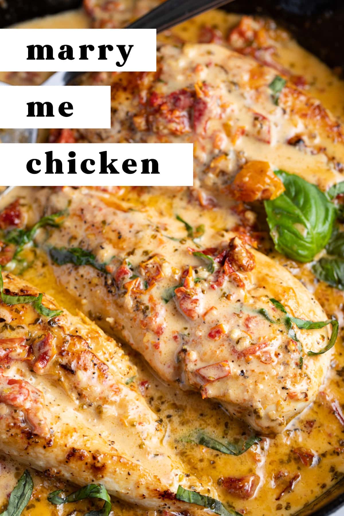 Marry Me Chicken (Chicken in Sun Dried Tomato Cream Sauce) - 40 Aprons