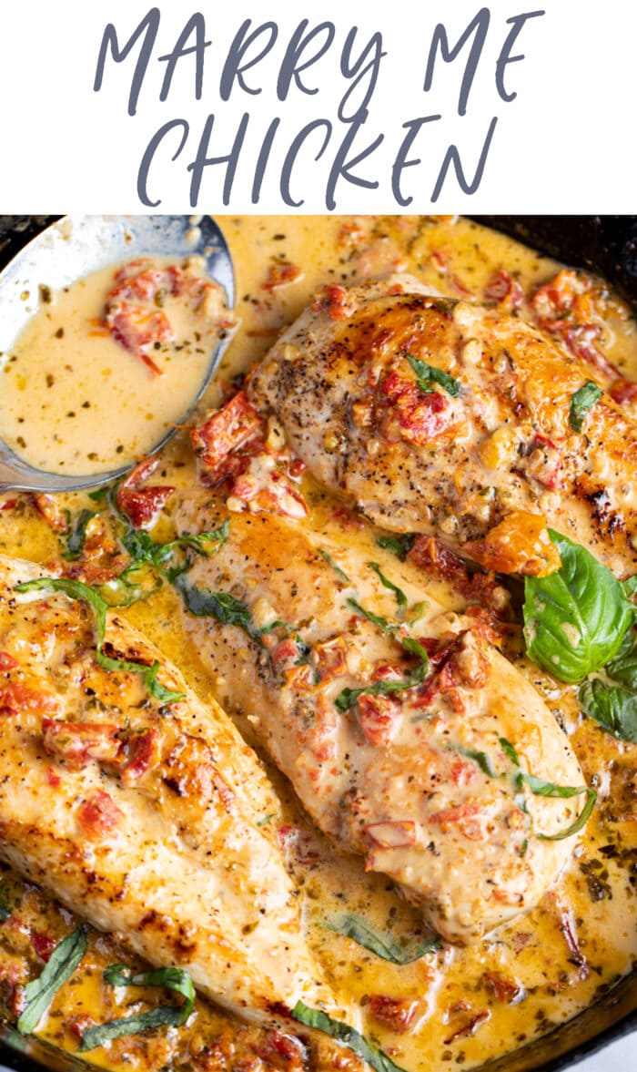 Marry Me Chicken (Chicken in Sun Dried Tomato Cream Sauce) - 40 Aprons