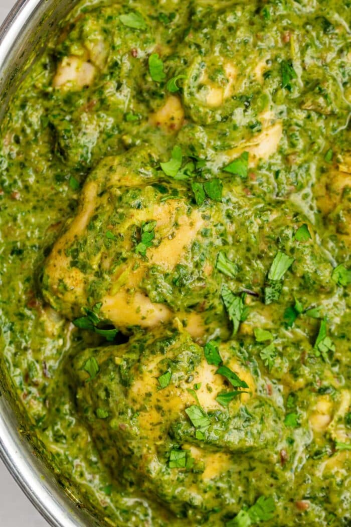 chicken saag in a skillet with fresh cilantro on top