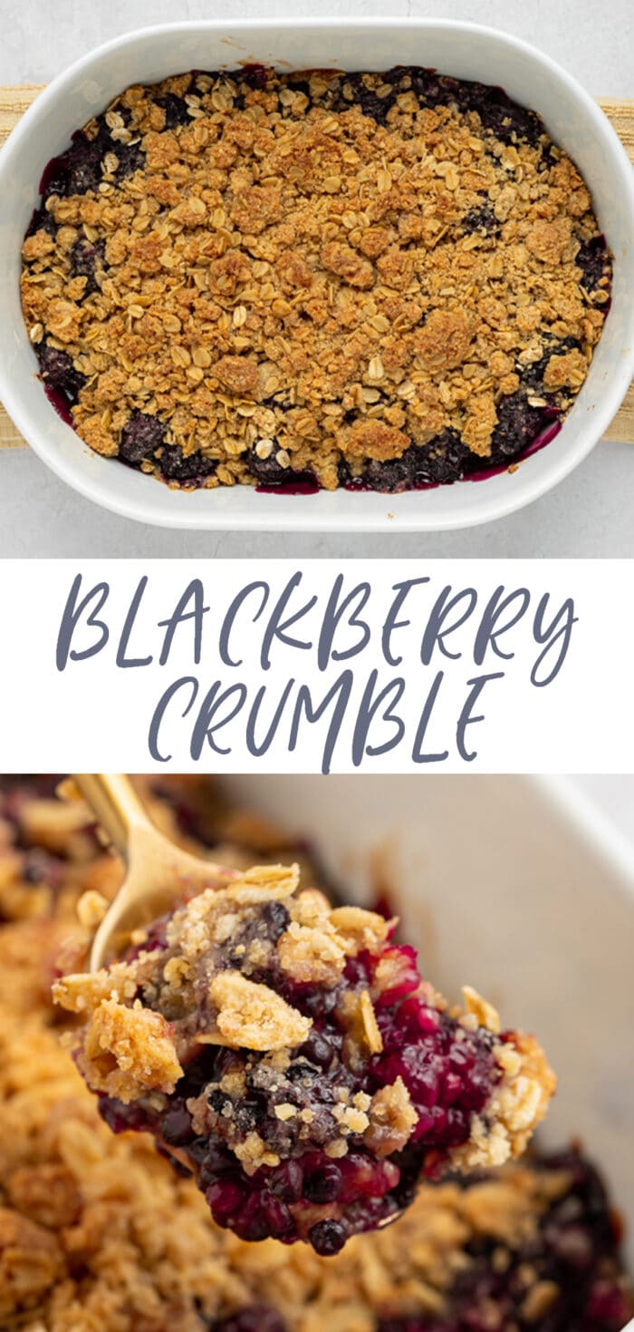 Pin graphic for blackberry crumble