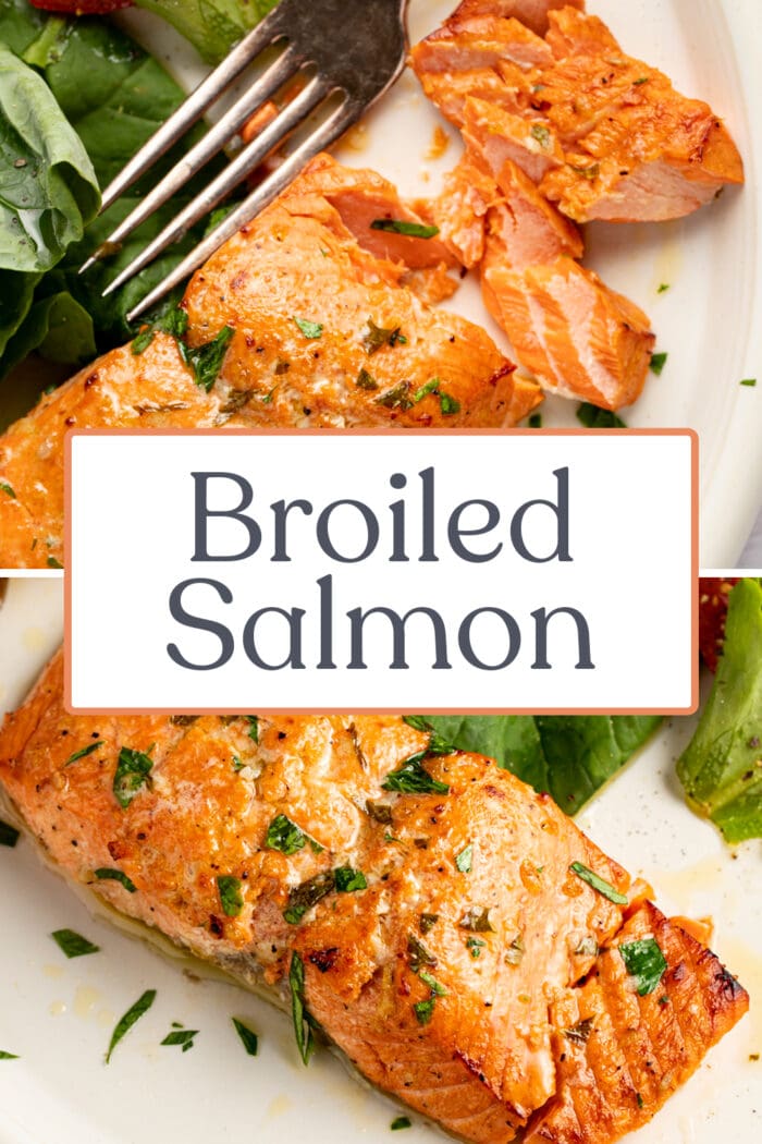 Pin graphic for broiled salmon