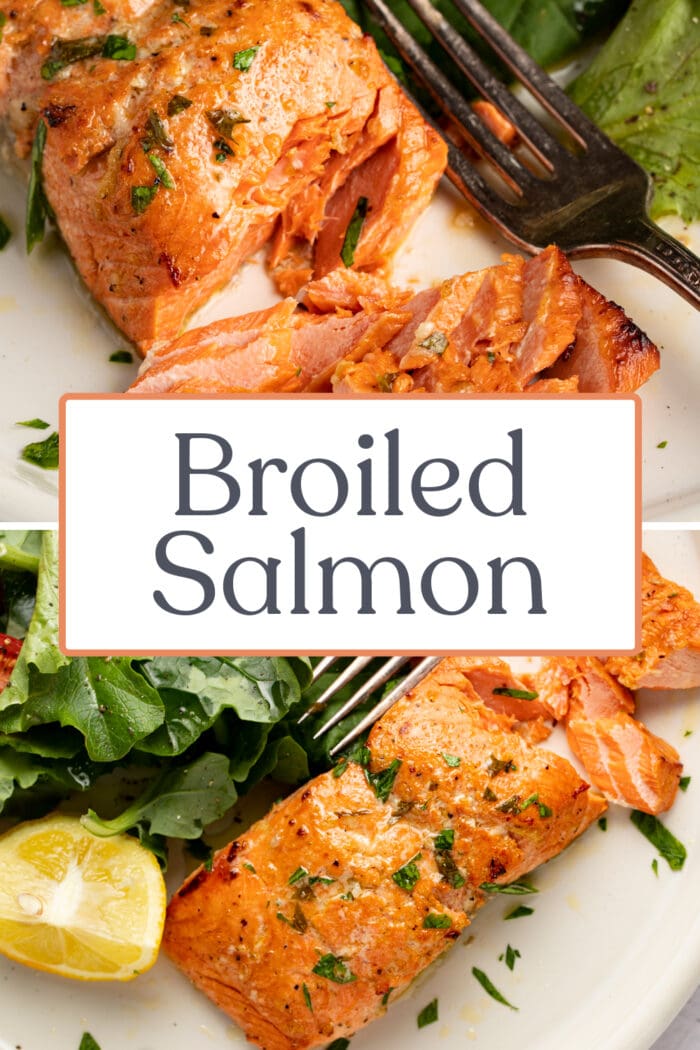 Pin graphic for broiled salmon