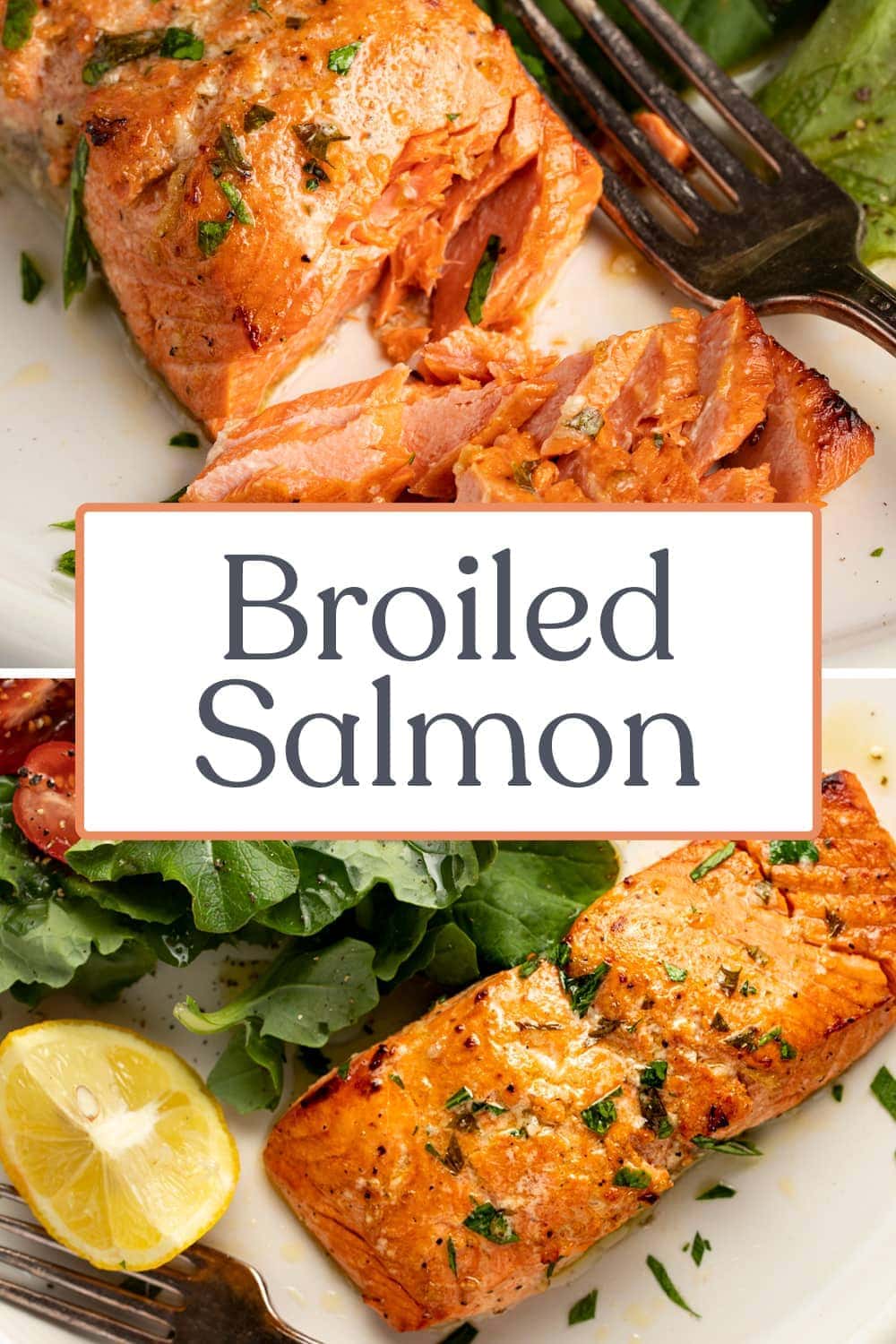 Broiled Salmon in a Simple Marinade - 40 Aprons
