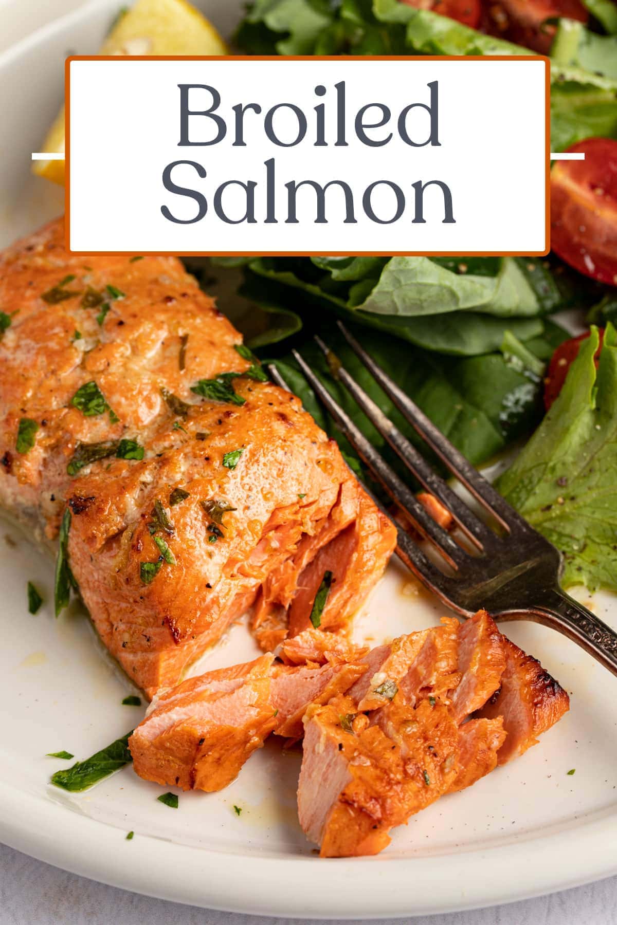 Broiled Salmon in a Simple Marinade - 40 Aprons