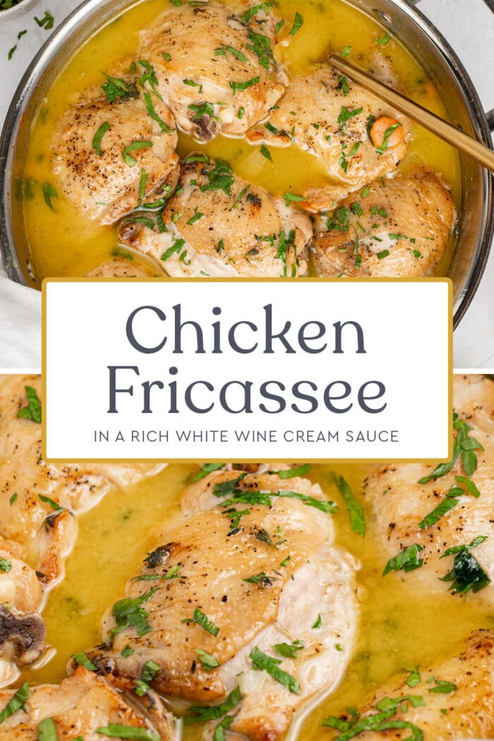 Pin graphic for chicken fricassee