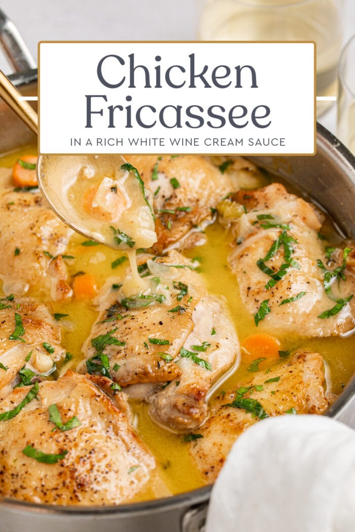 Pin graphic for chicken fricassee