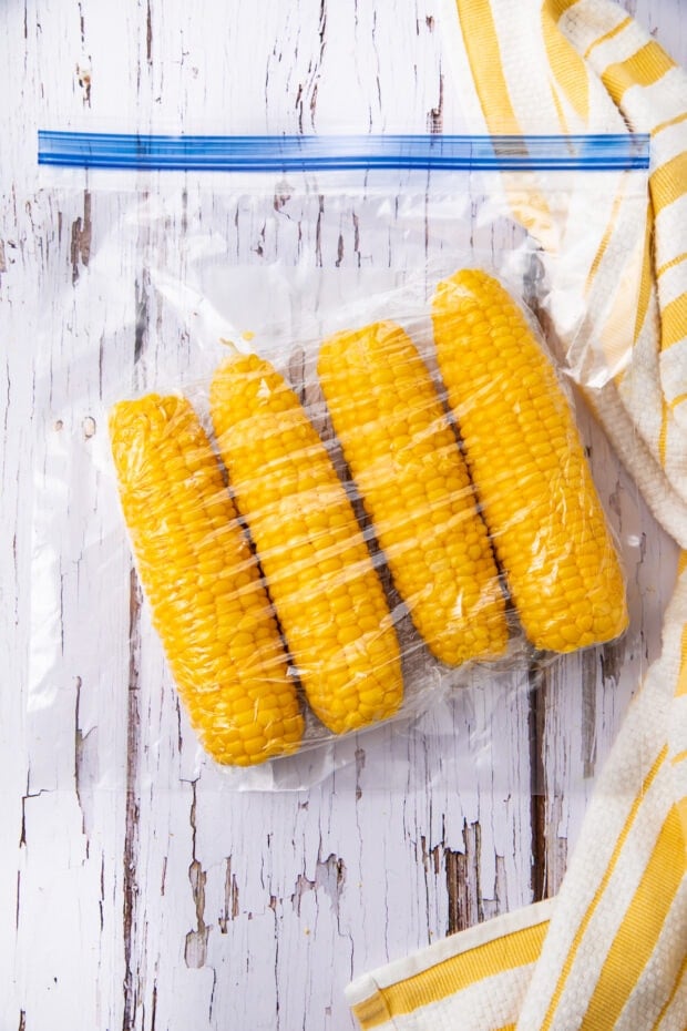 Ears of corn in freezer bag