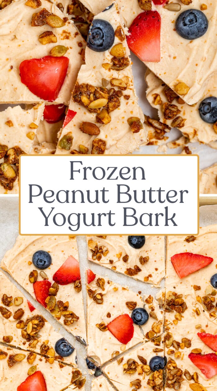 Pin graphic for yogurt bark