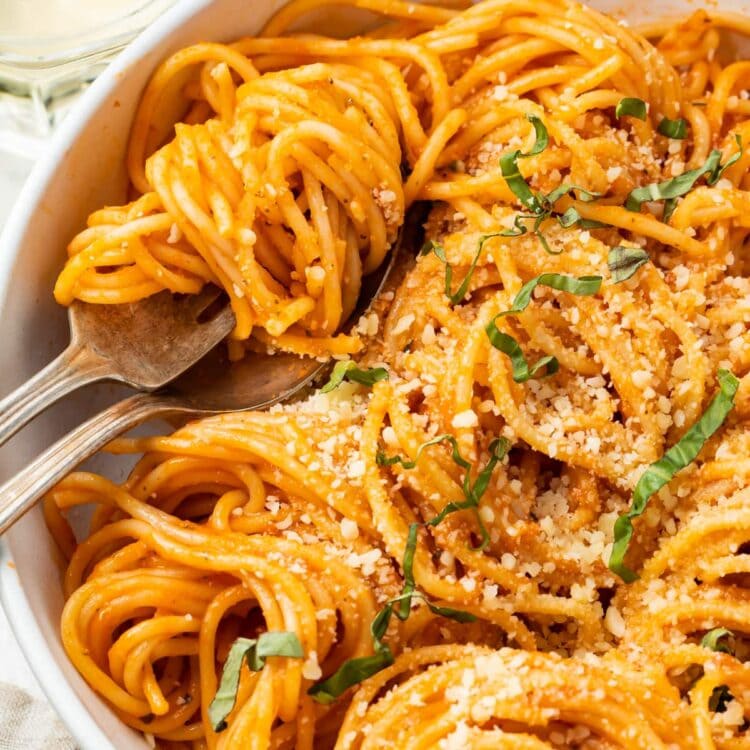 Bowl of pasta with pomodoro sauce