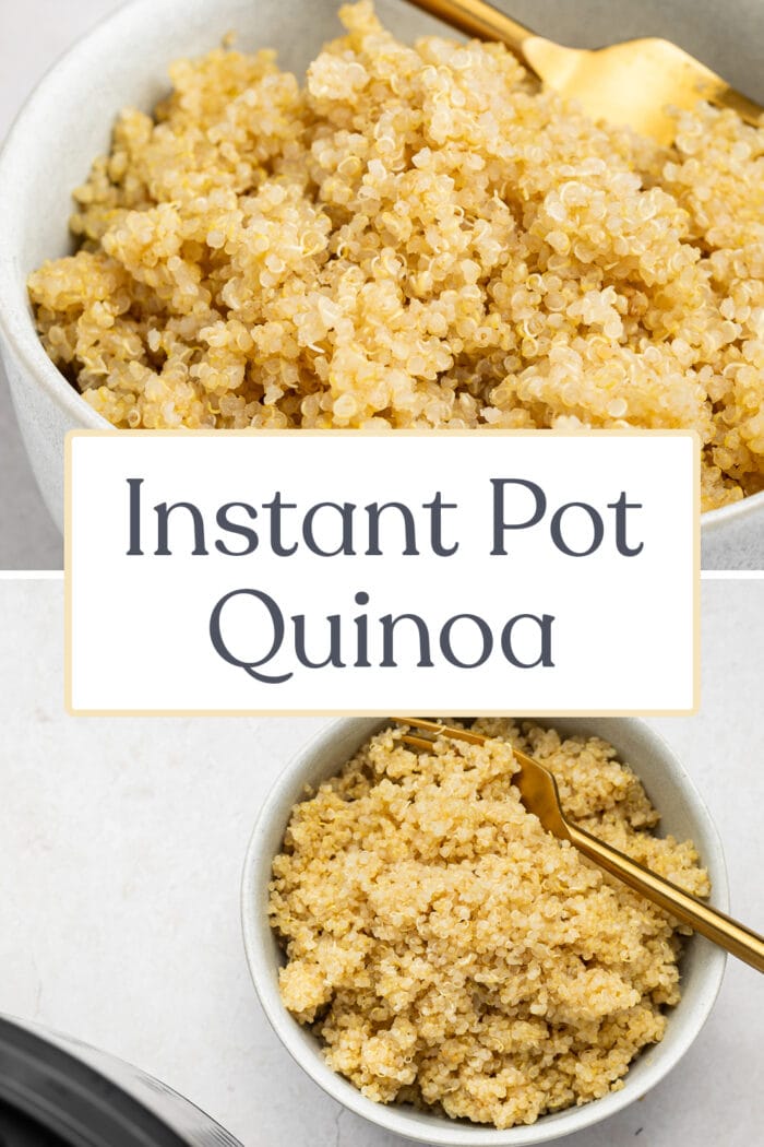 Instant Pot Quinoa - 40 Aprons