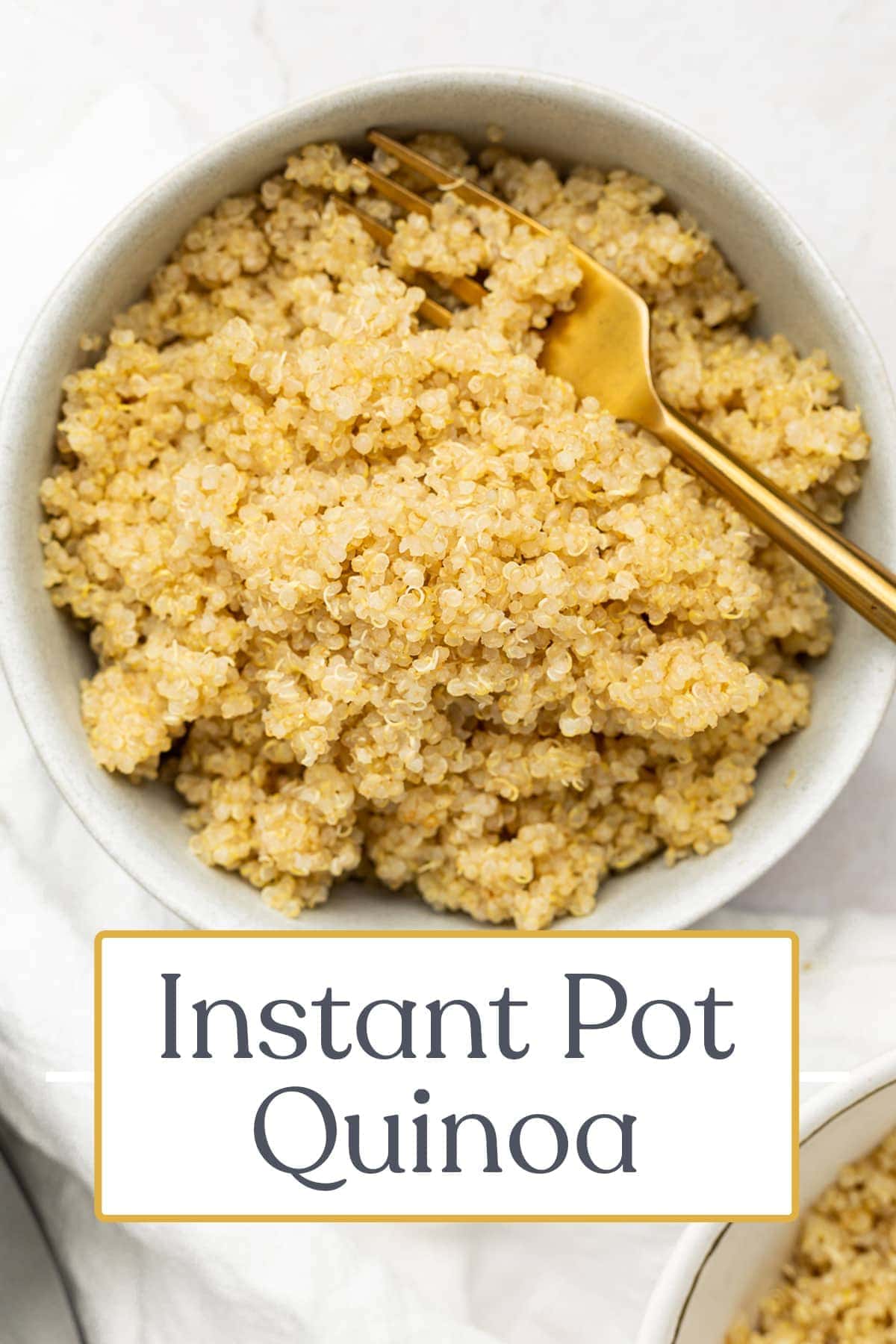 Instant Pot Quinoa - 40 Aprons