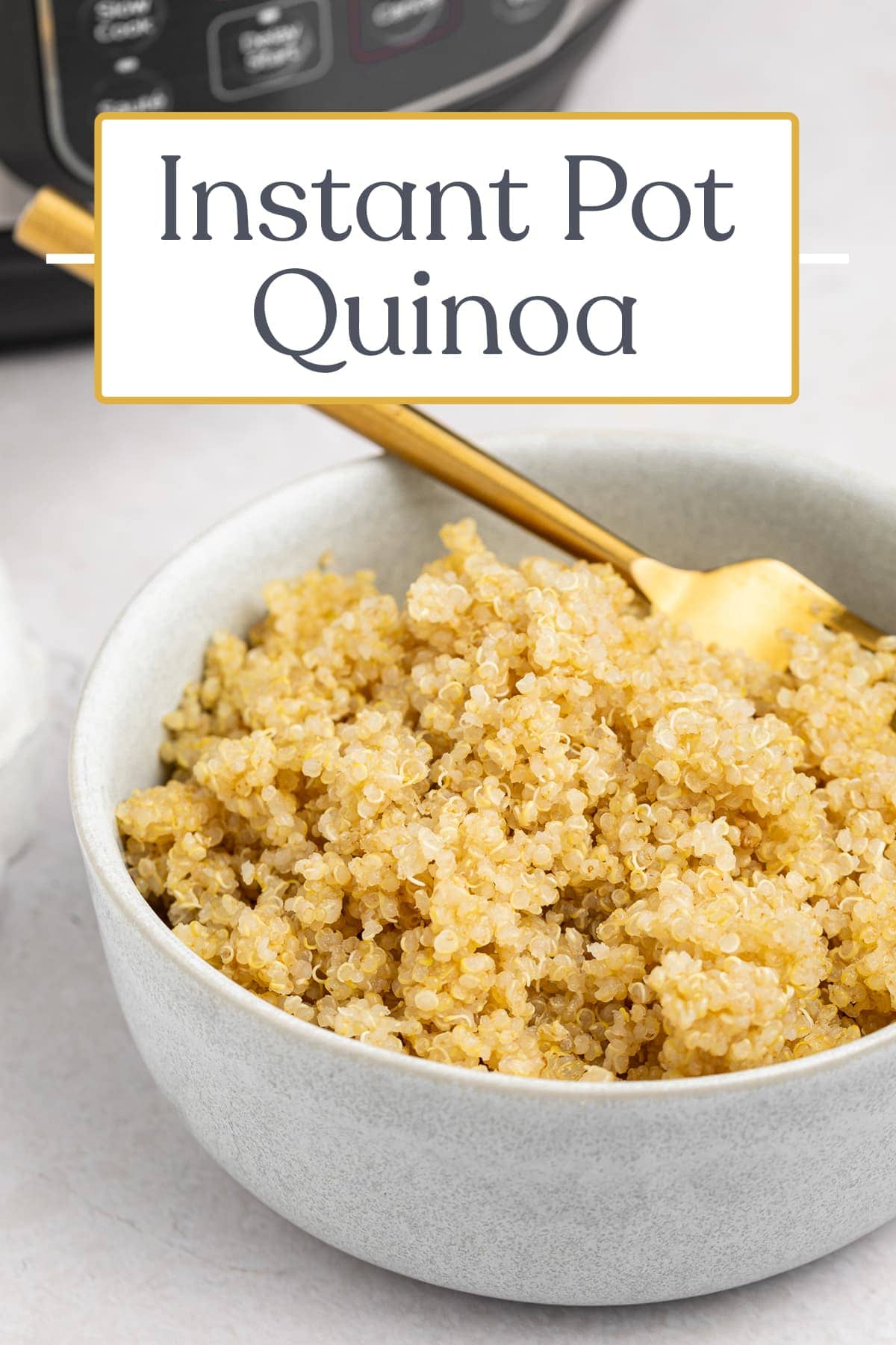 Instant Pot Quinoa - 40 Aprons