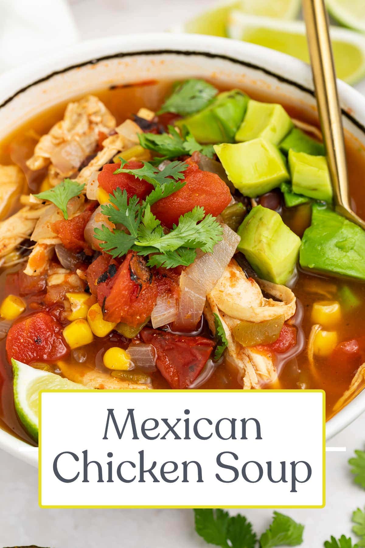 Mexican Soup - 40 Aprons