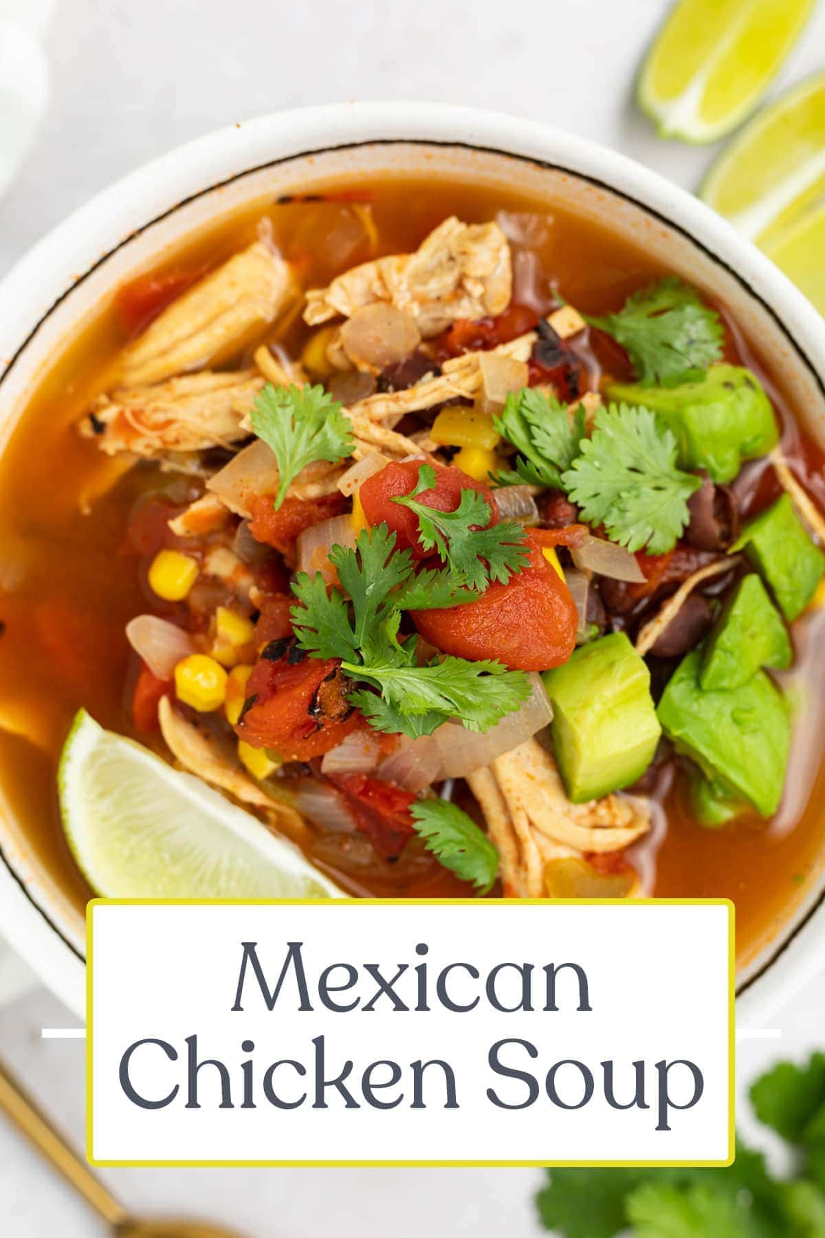 Mexican Soup - 40 Aprons