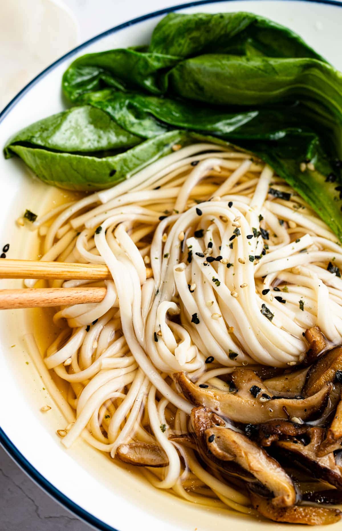 Udon soup in a bowl with blue trim