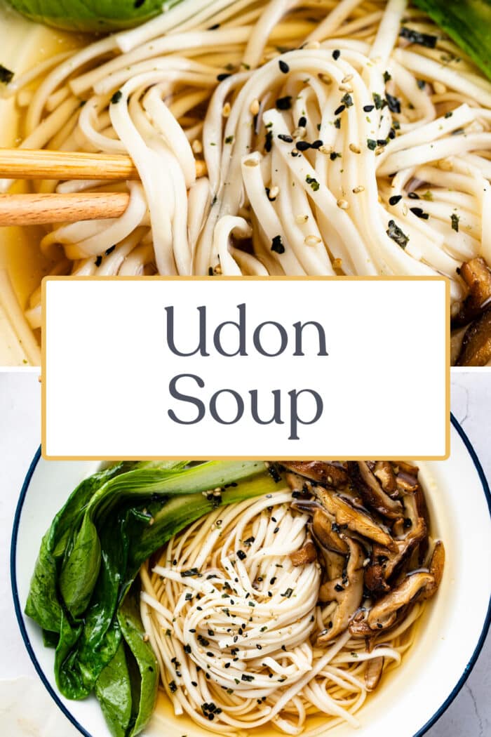 Pin graphic for udon soup