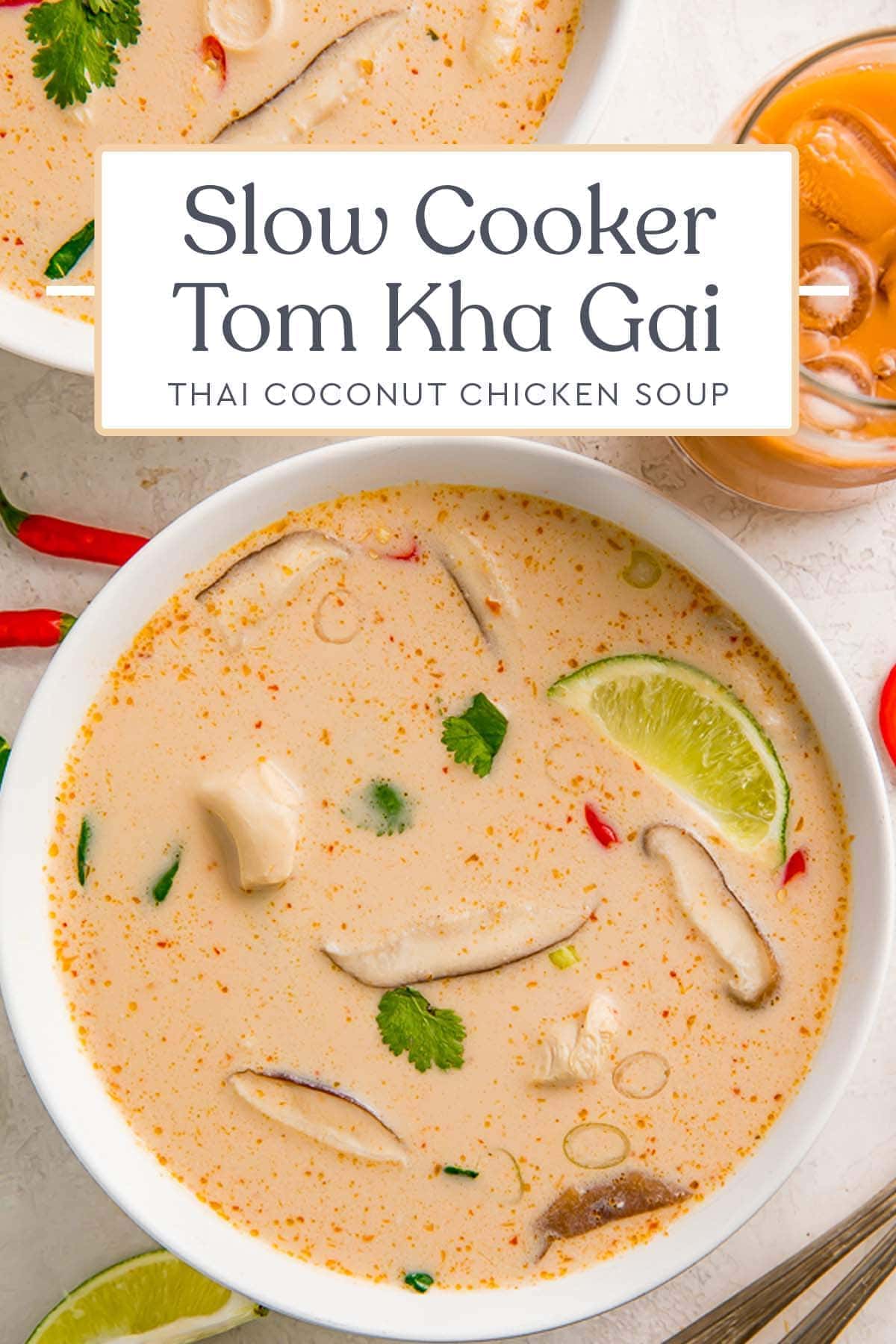 Slow Cooker Tom Kha Soup (Thai Coconut Chicken Soup) - 40 Aprons