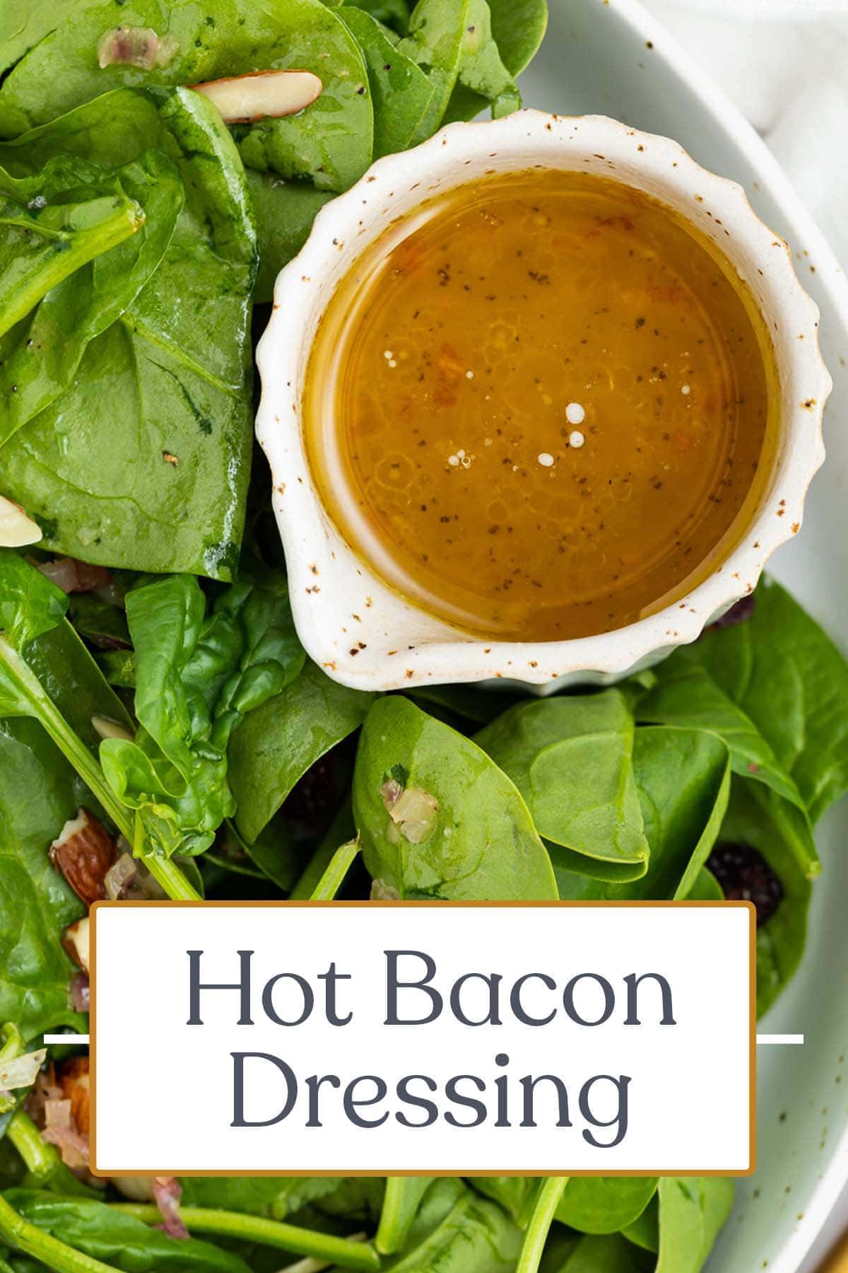 Hot Bacon Dressing Recipe 40 Aprons