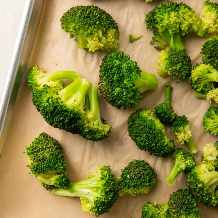 Fresh, cooked, dried broccoli ready to be frozen