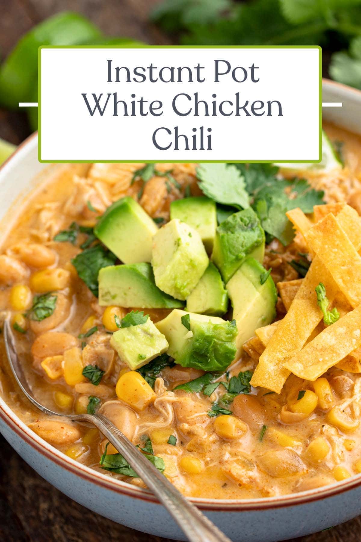 Instant Pot White Chicken Chili - 40 Aprons