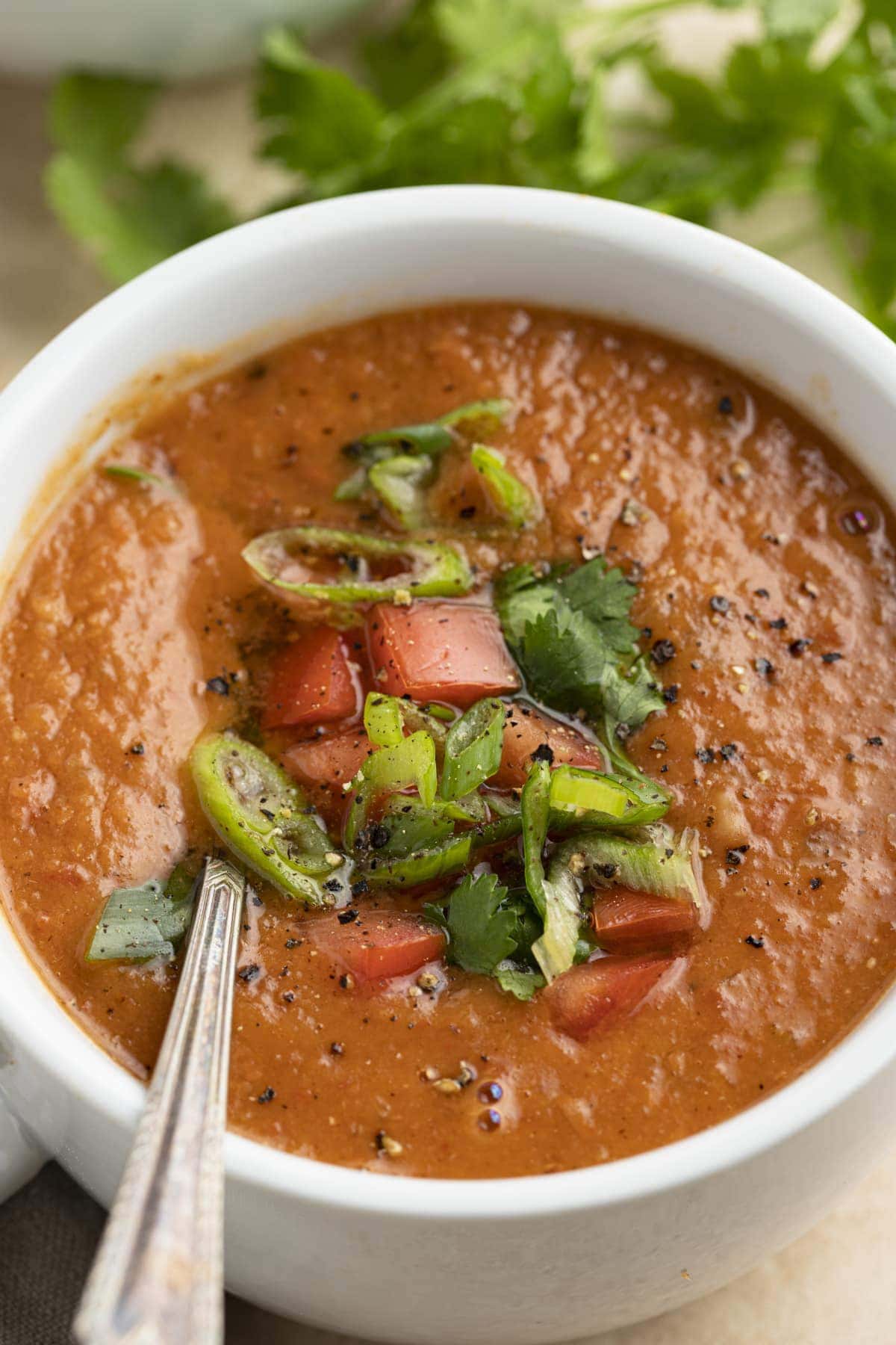 Pinto Bean Soup - 40 Aprons