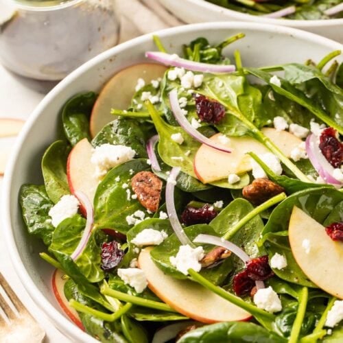 Leftover Turkey Salad with Apples and Cranberries - 40 Aprons