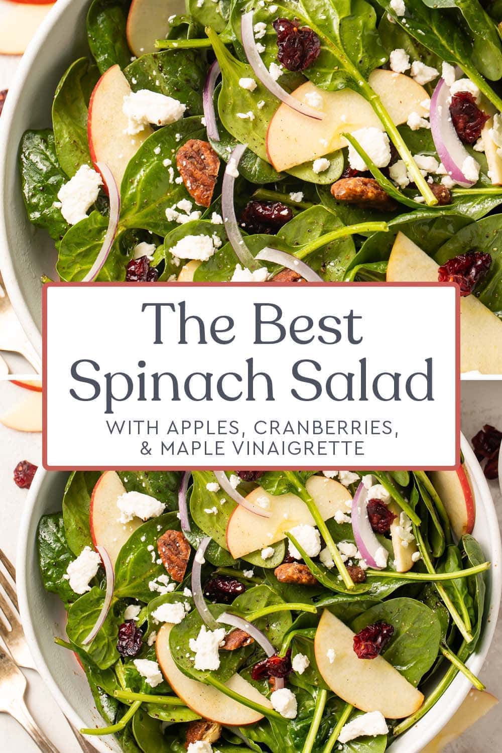 The Best Spinach Salad (with Maple Vinaigrette) - 40 Aprons