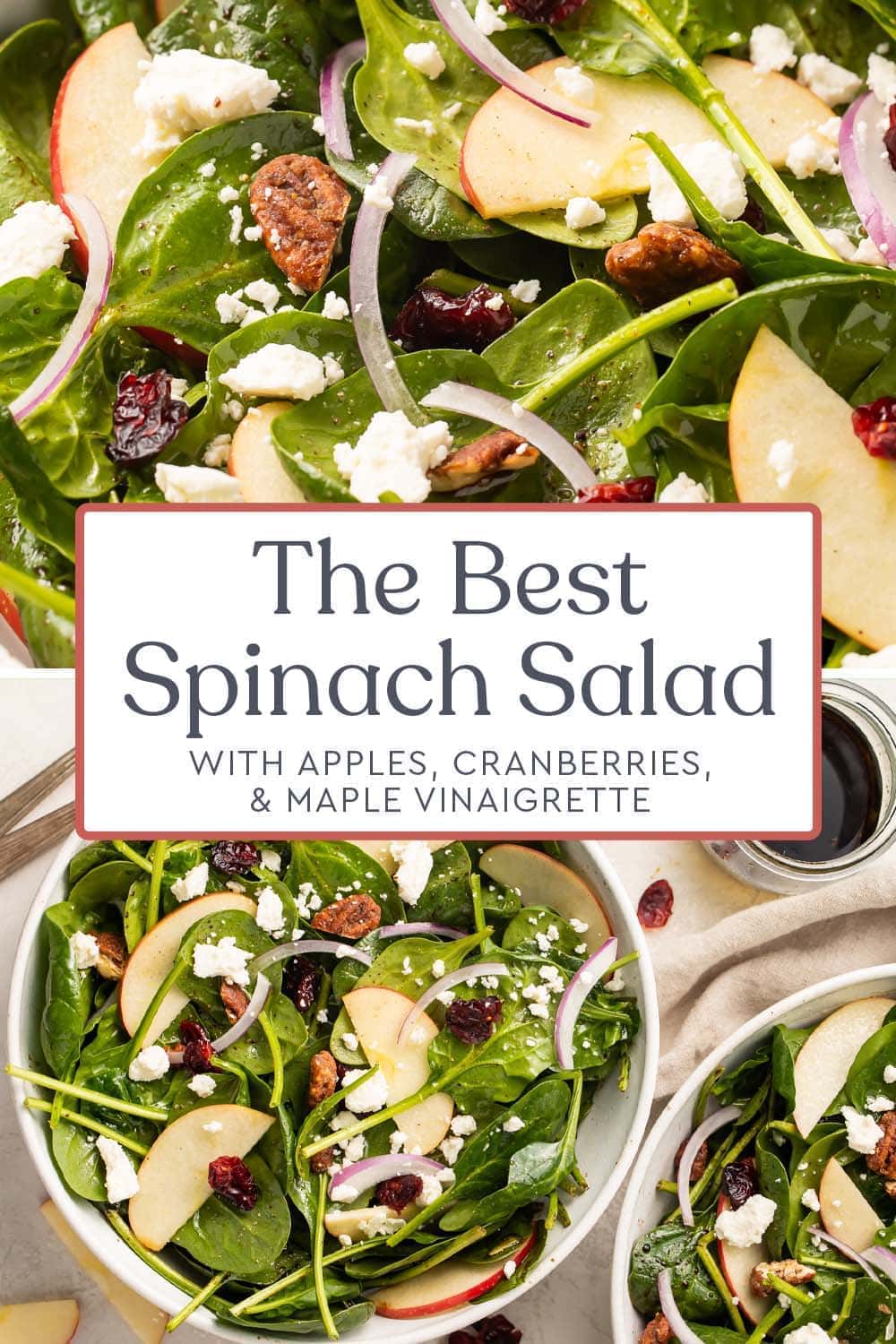 The Best Spinach Salad (with Maple Vinaigrette) - 40 Aprons