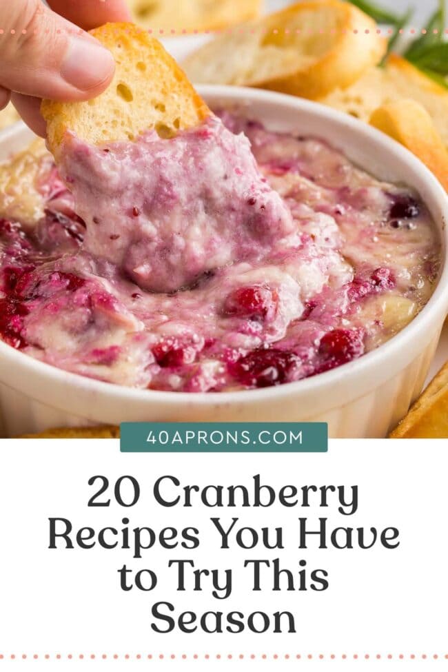 20 Cranberry Recipes You Have To Try This Season 40 Aprons   20 Cranberry Recipes Graphic 1 650x975 