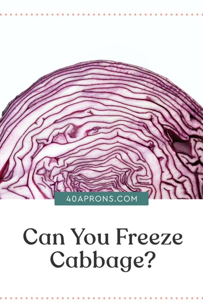 Pin graphic for can you freeze cabbage article