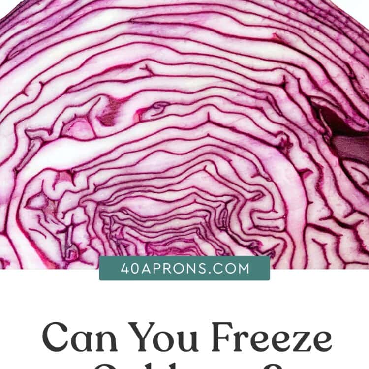 Graphic for can you freeze cabbage article