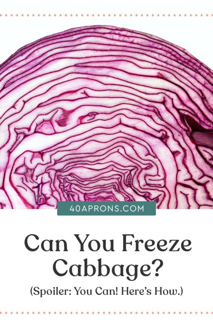 Pin graphic for can you freeze cabbage article