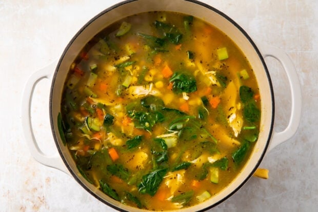 Chicken vegetable soup in large saucepan