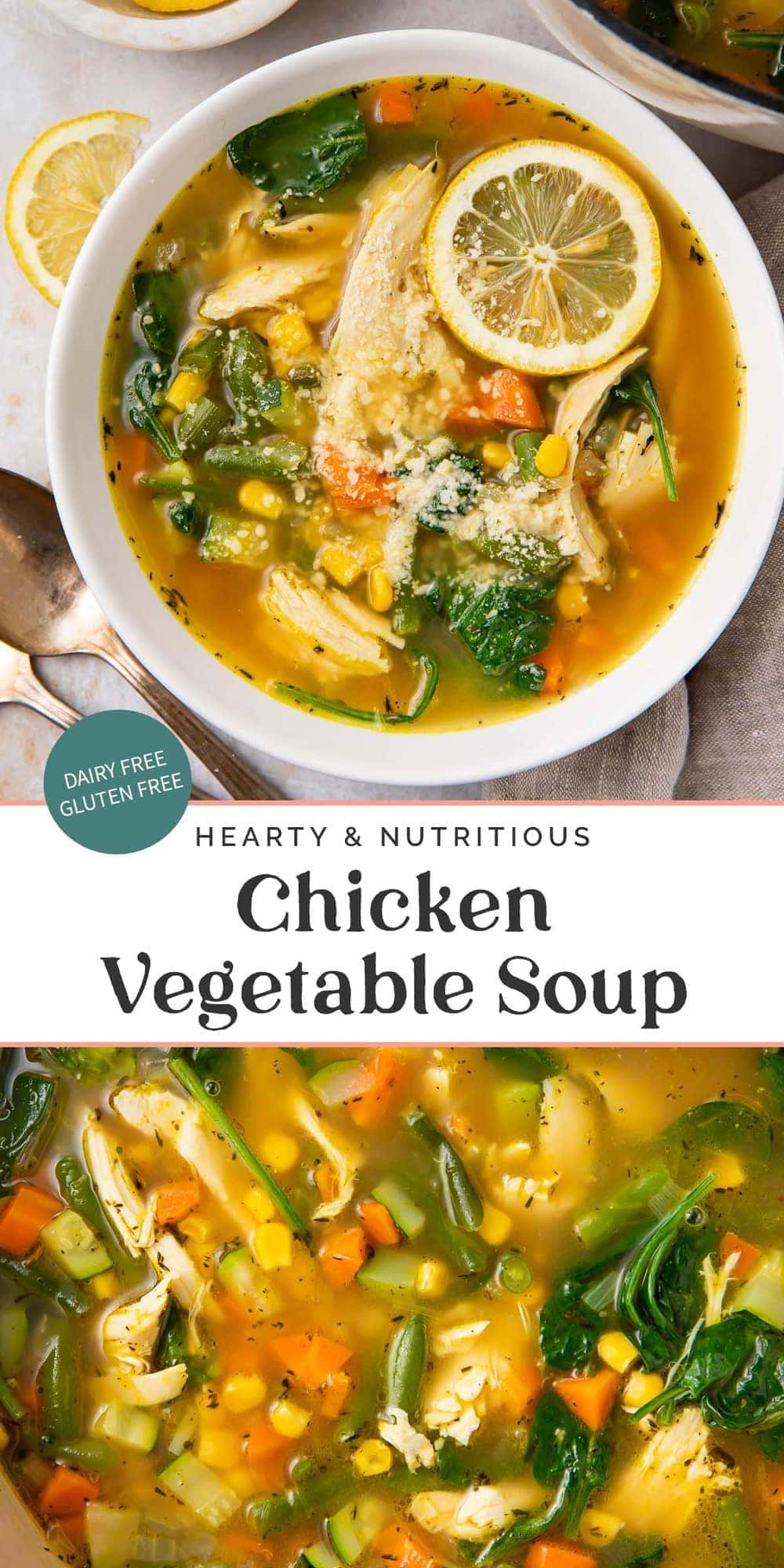 Lemony Chicken Vegetable Soup - 40 Aprons