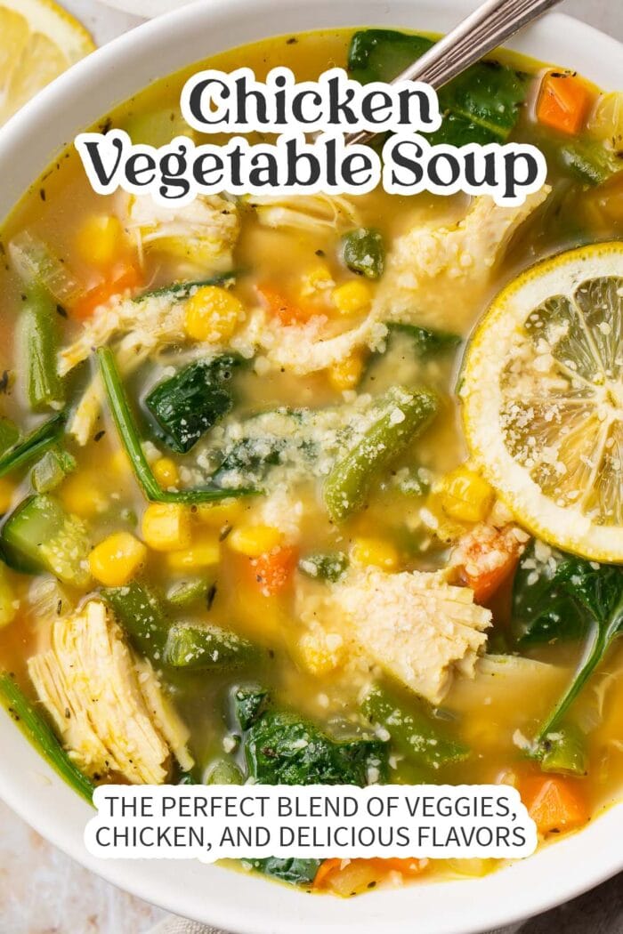 Pin graphic for chicken vegetable soup