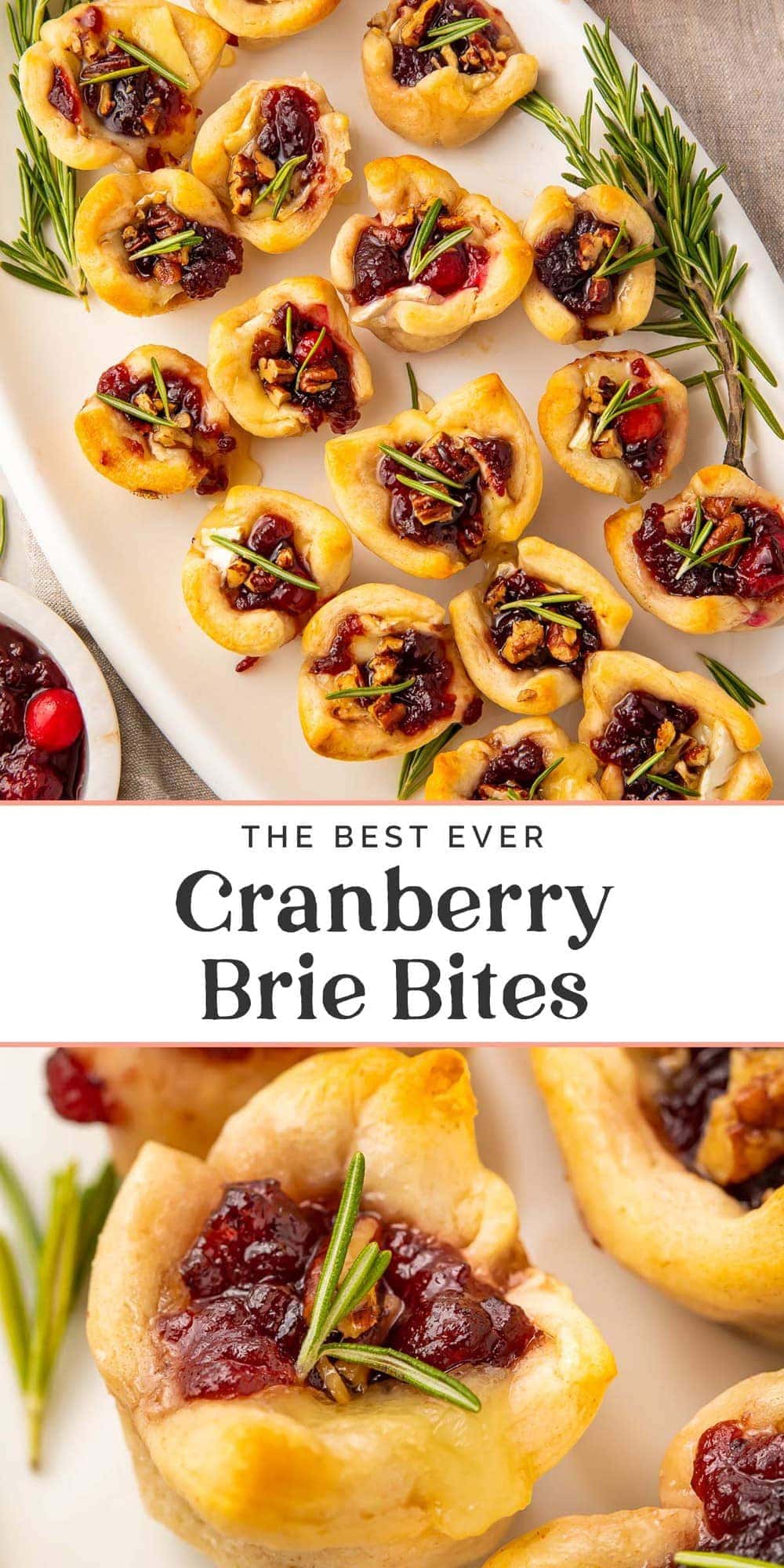 The Best Ever Cranberry Brie Bites - 40 Aprons